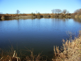 冬の江戸川風景
