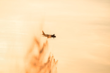 Beautiful Ada Ciganlija Lake In Belgrade