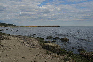 Fototapeta na wymiar Seagulls and herring-gulls at Varna coastline