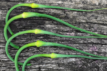 young garlic arrows on a rustic wooden background, top view