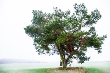 a lonely woman stands under a tree on a field in the fog
