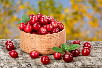 Cranberry with leaf in wooden bowl on old wooden table with a blurry garden background