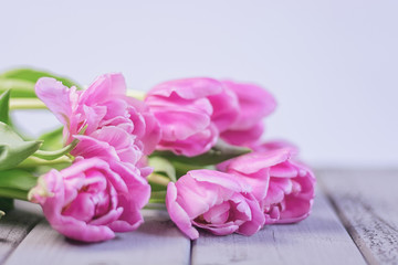Obraz na płótnie Canvas Beautiful pink tulips lying on the table