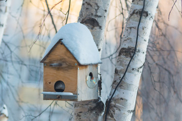house for birds winter