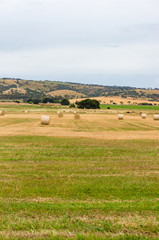Fototapeta na wymiar Agriculture landscape of straw bales on field
