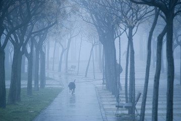 People stroll down the street on a winter day with a lot of fog