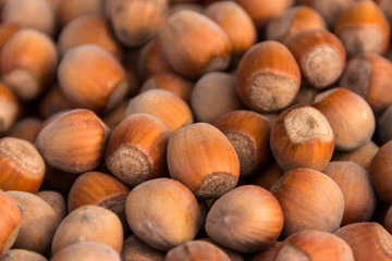 Food background of the hazelnuts. Fresh filbert close-up