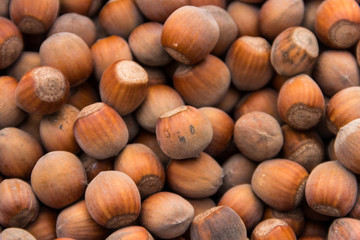 Food background of the hazelnuts. Fresh filbert close-up