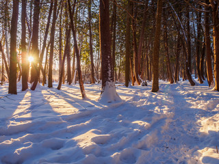 Winter trail at sunrise
