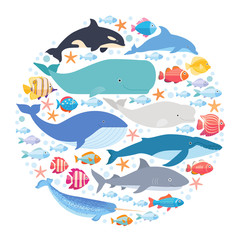 Marine mammals and fishes set in circle. Narwhal, blue whale, dolphin, beluga whale, humpback whale, bowhead and sperm whale vector isolated