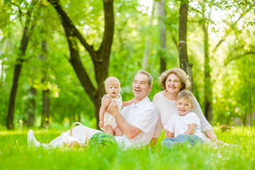 Naklejka premium Portrait of an elderly couple with grandchildren on a picnic outdoors