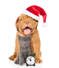 Puppy in red santa hat and kitten  sitting together with alarm clock. isolated on white background