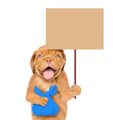 Puppy holding bag and blank banner mock up on wood stick. isolated on white background