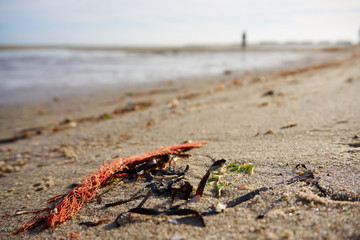 beach with objects in the foreground