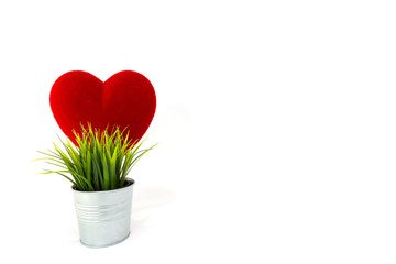 Heart pillow in glass with decorate tree isolate on white background, Valentine concept