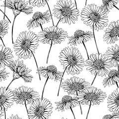 Daisies seamless pattern