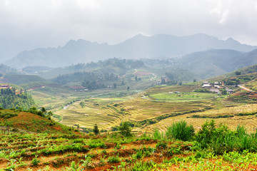 Naklejka premium View of terraced rice fields at highlands of Sa Pa in Vietnam