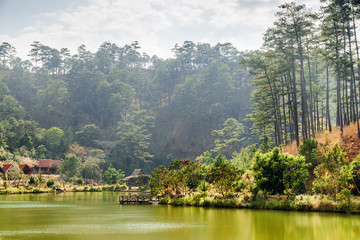 Obraz premium Forest lake among scenic green pine woods. Summer landscape