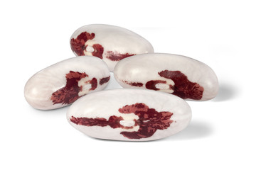Four bean of colored bean on a white background