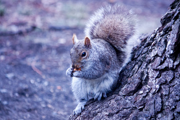 Do you mind I'm trying to eat