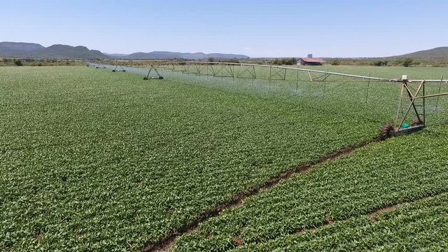 pivot irrigating some farmland