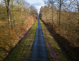 Aerial view of a straight narrow road in a forest in winter