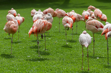Kreuzfahrt Grancanaria