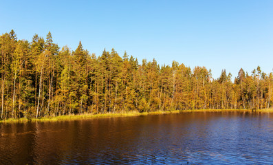 shore of the lake in autumn