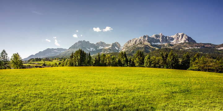 saftige Fr&uuml;hlingswiese vor dem m&auml;chtigen Berg