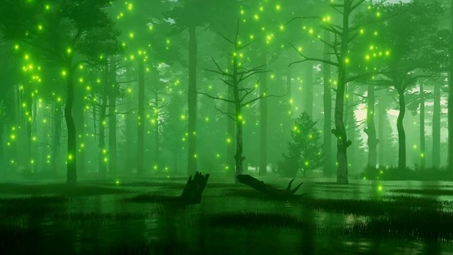 Fairytale woodland scenery with mysterious magic firefly lights flying over creepy forest swamp at dark misty night. Fantasy 3D animation rendered in 4K