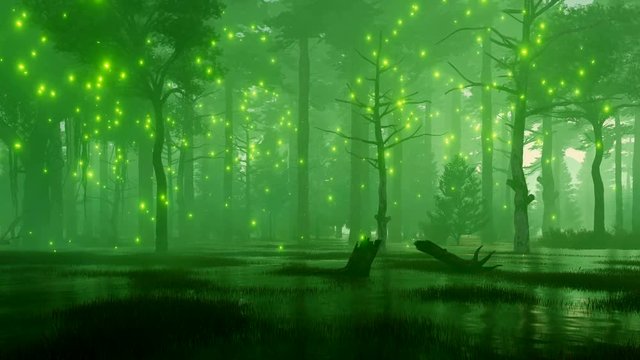 Dreamlike woodland scenery with mystic firefly lights flying over spooky swamp in a dark mysterious night forest. Fantasy 3D animation rendered in 4K