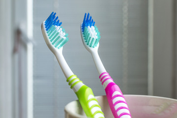 Toothbrushes in the white cup 