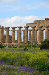 Fototapeta premium Archaeological Park of Selinunte, Sicily Italy