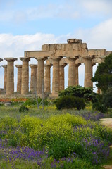 Fototapeta premium Archaeological Park of Selinunte, Sicily Italy