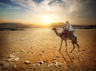 Obraz premium Journey in desert