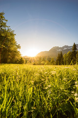 Sonnenuntergang neben dem Wilden Kaiser in Going mit herrlichem Ausblick auf eine grüne...