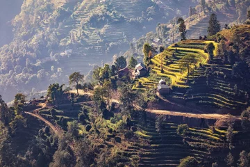 Türaufkleber Terraced Landscape, Nagarkot, Nepal © Ingo Bartussek