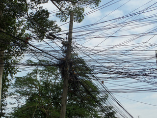Complexion of optical fiber cable power electric line to tree