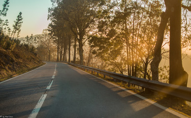 Fototapeta premium mountain road in the woods