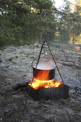 Cooking food at the stake during the stopping of travelers in the forest