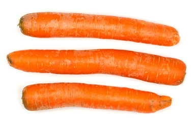 carrot on white background