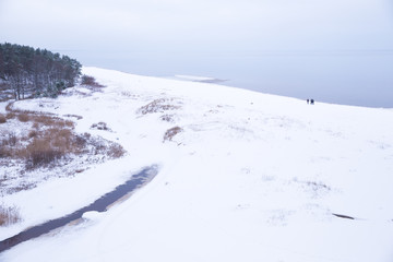 Winter and baltic sea. Nature, trees and sky. Travel photo.