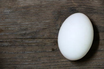 Single duck egg on wooden table background, have copyspace for put text