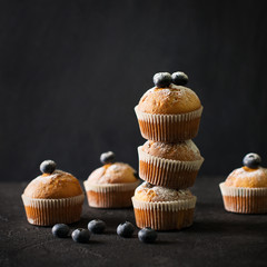 Blueberries muffins or cupcakes on black texture
