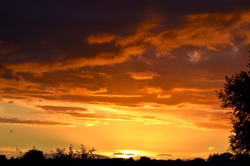 Beautiful, Golden sunset