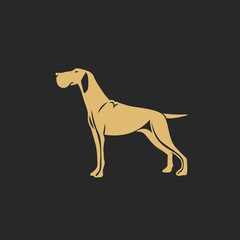 golden hunting dog with shadow