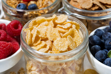 corn flakes and an assortment of healthy breakfast products, closeup
