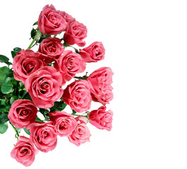 flowers wall background with amazing roses, bouquet