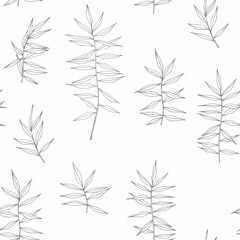 Obraz premium Vector seamless pattern with herbs for printing