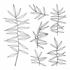 Obraz premium Set of vector illustrations with herbs